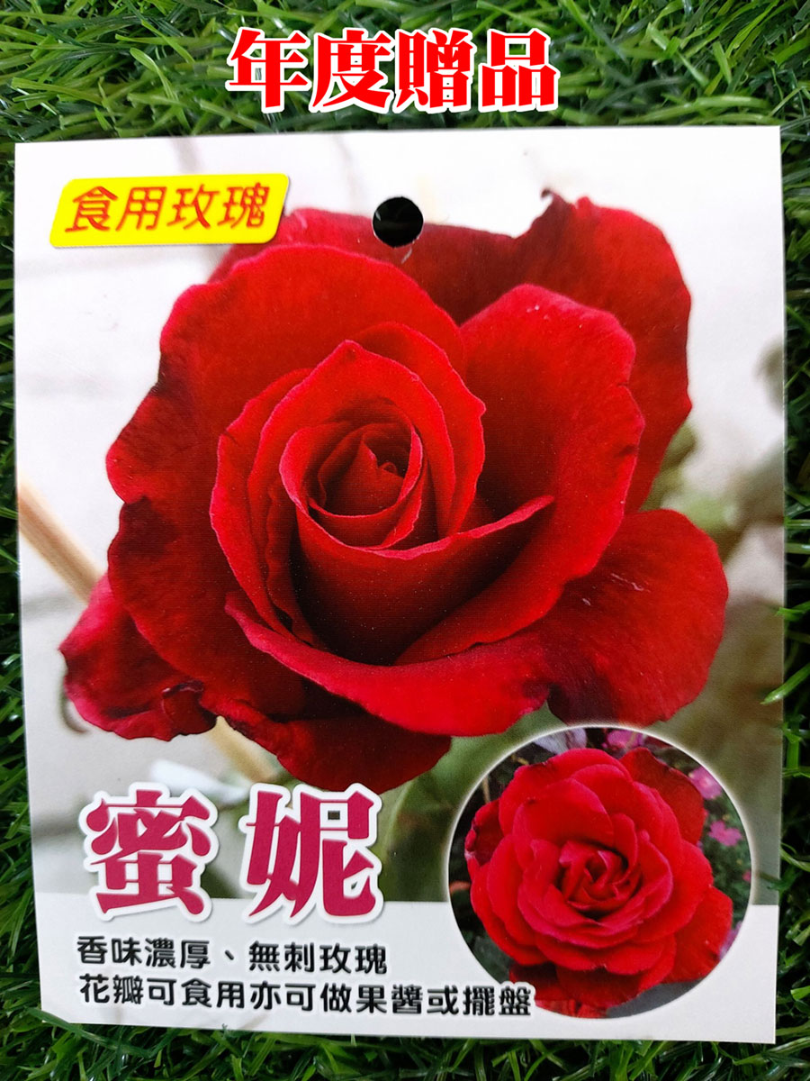 食用玫瑰