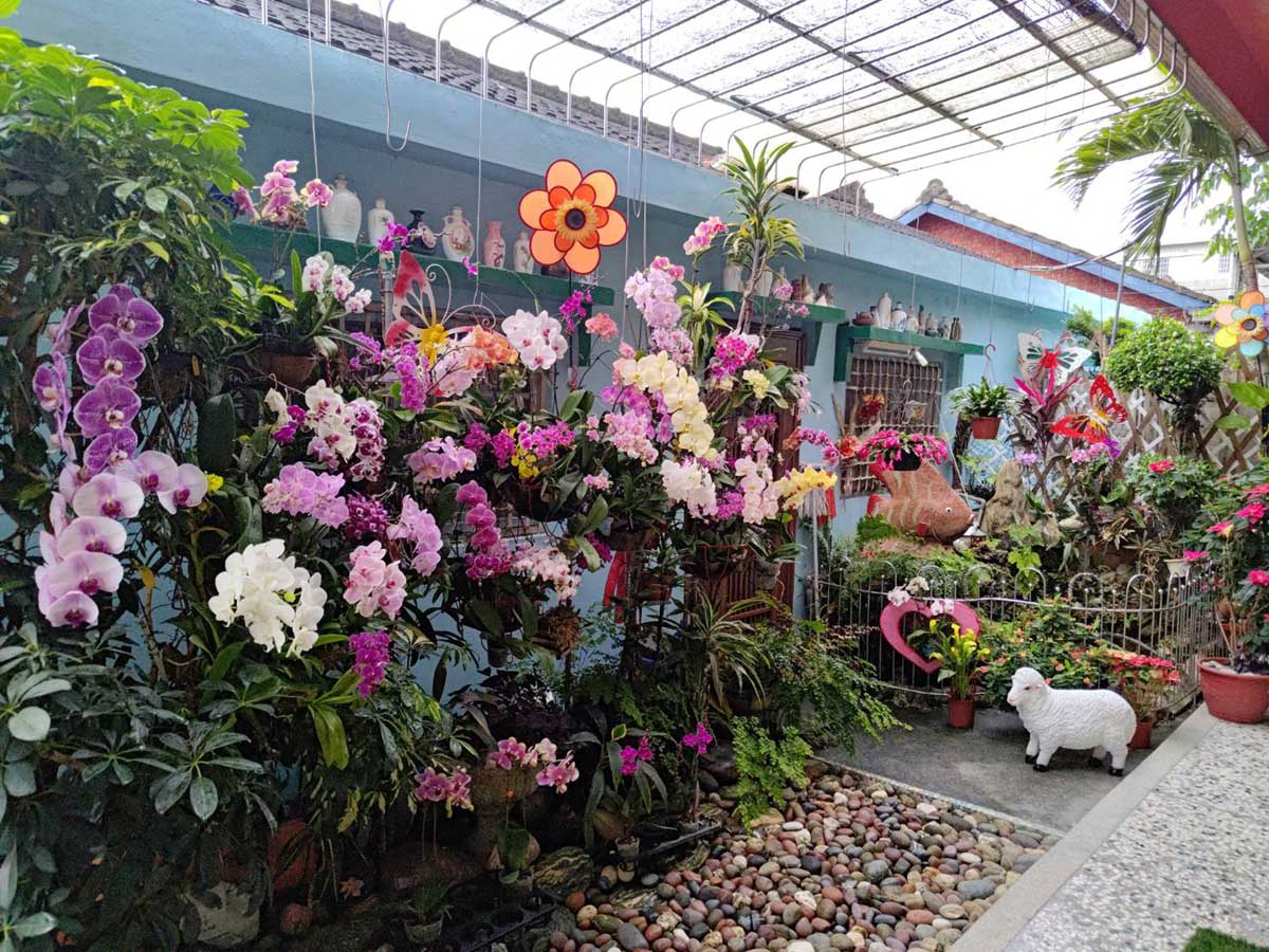 蘭花牆