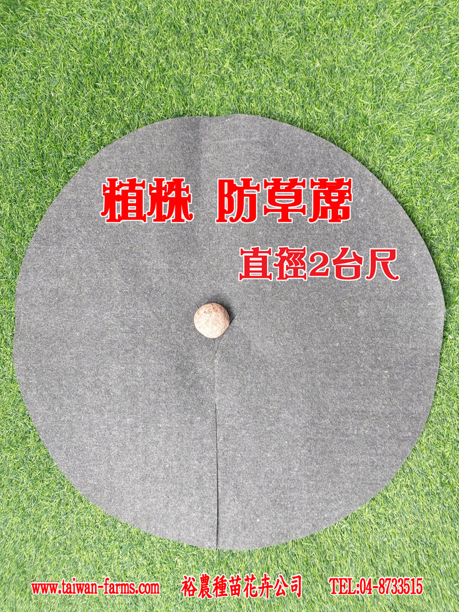 植株 防草蓆